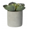 Pomax CONCRETE JUNGLE - Aloe vetplant in pot - 11x14cm synthetic/cement