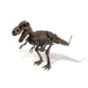 Dino excavation kit - T-Rex skelet