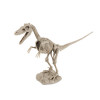 Dino excavation kit- Velociraptor skelet
