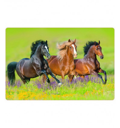 Placemat - 30x43cm - meadow horses
