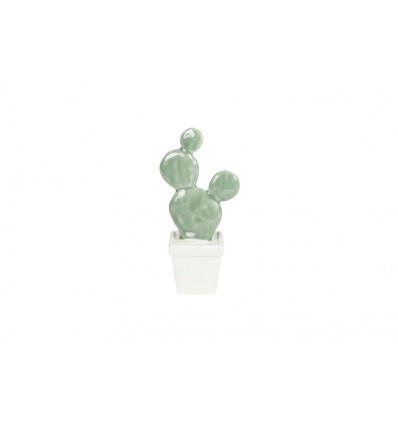 Cactus ker. in pot - S - waterfall green