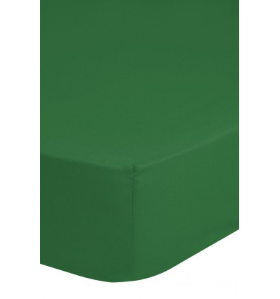 EMOTION Hoeslaken - 180x200cm - groen jersey TU