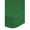 EMOTION Hoeslaken - 180x200cm - groen jersey TU