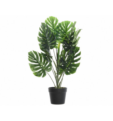 Monstera plant in pot - 55x80cm - groen