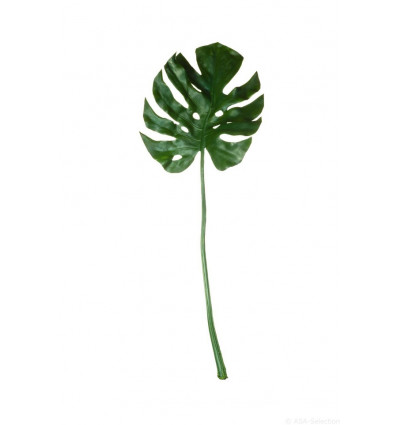 Philodendron leaf - 83cm