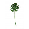 Philodendron leaf - 83cm