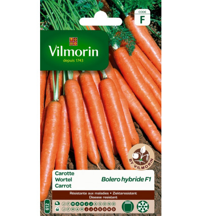 VILMORIN wortel bolero HF1 SF