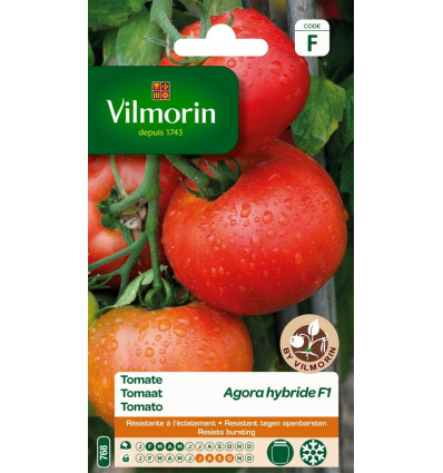 VILMORIN tomaat agora HF1 SF
