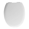Allibert SUNSHINE WC-zitting - softclose- wit M1680911 verchroomd scharnier