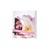 BOLSIUS waxmelts 6st. - magnolia true scents TU LU