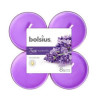 BOLSIUS geurkaarsen maxi 8st.- lavendel true scents