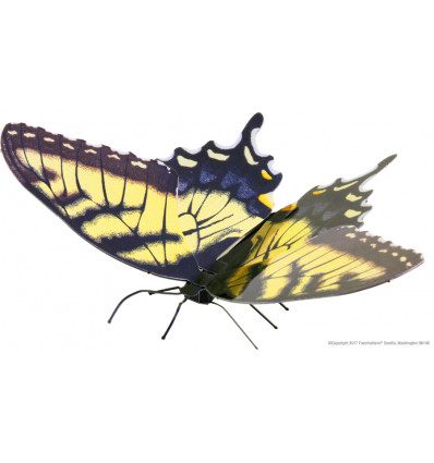Fasc. ME - Tiger swallowtail butterfly