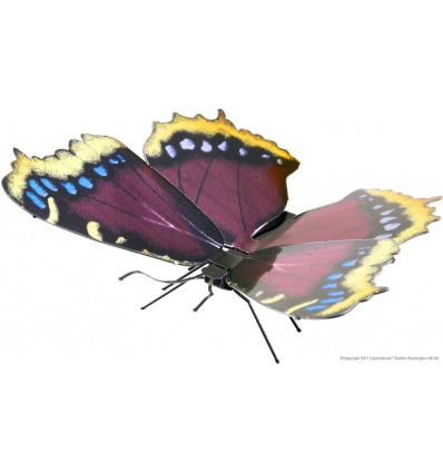 Fasc. ME - Mourning cloak butterfly