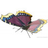 Fasc. ME - Mourning cloak butterfly