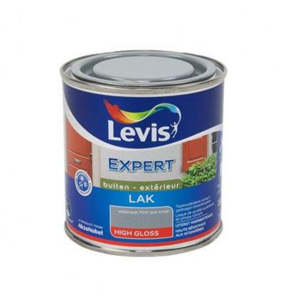 Levis EXPERT lak high gloss 0.25L - wolken grijs