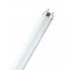 OSRAM TL-lamp T8 - 36W koud-wit 26mm diam x 1200mm lengte