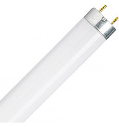 OSRAM TL-lamp- T8 58W/840 150cm diameter 26mm - cool white fluorescentielamp