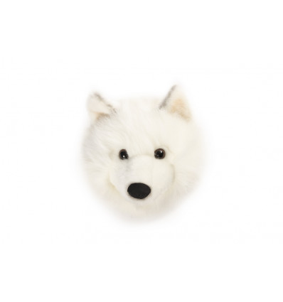 Trophy kop - Witte wolf Lucy