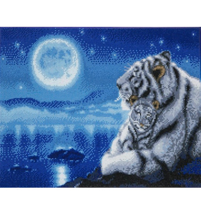 Crystal Art - Witte tijger bij maanlicht40x50cm 10086843