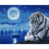Crystal Art - Witte tijger bij maanlicht40x50cm 10086843