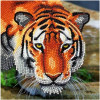 Crystal Card - The tiger 18x18cm