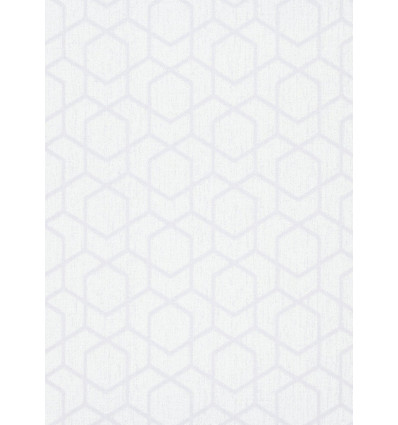 Thuisland halfrond Verknald ERISMANN Behang Timeless dessin wit/grijs behangpapier 10mx0.50cm -  Europoint BVBA