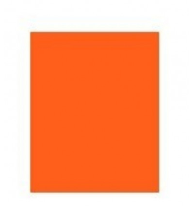 Crepe papier - oranje - 250x50cm 0460008