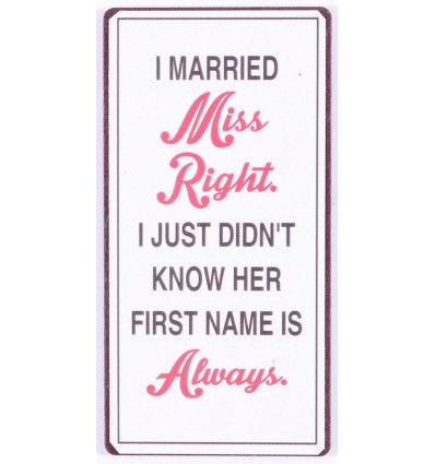 Magneet - I married miss right...-5x10cm