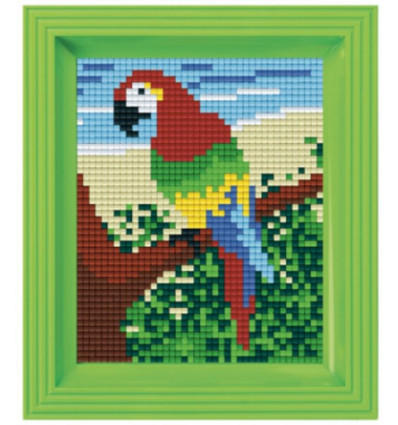 PIXEL - Set papegaai