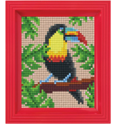 PIXEL - Set jungle - rainbow beak tucan