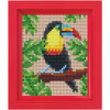 PIXEL - Set jungle - rainbow beak tucan