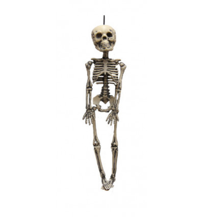 Deco skelet - 30cm tu