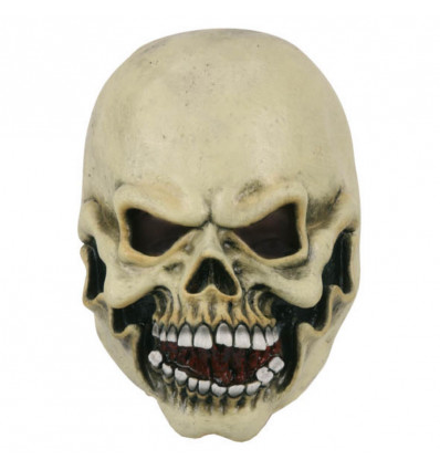 Masker skull