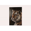 BERTRAND schilderij tijger - 70x100cm