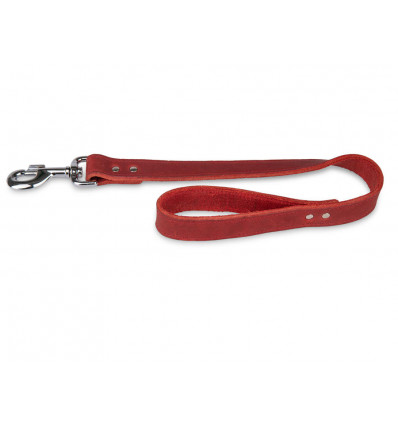 VADIGRAN Leiband rood 50CM 25MM geolied leder - hond