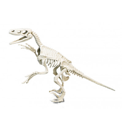 CLEMENTONI Dig Line - Velociraptor