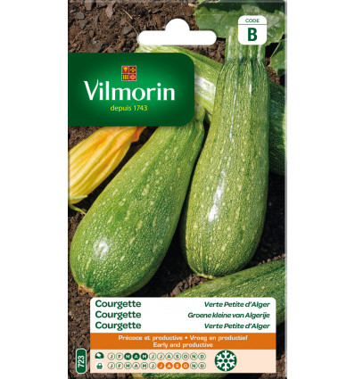 VILMORIN Courgette groen v/ Algerije SB