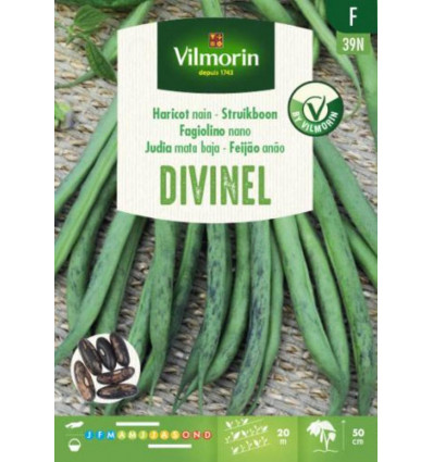 VILMORIN Struikboon Divinel - 100GR F