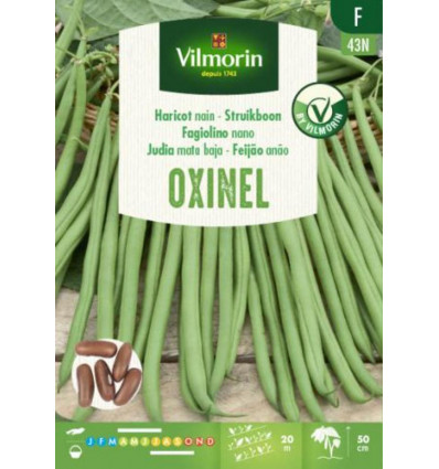 VILMORIN Struikboon oxinel - 110GR SF