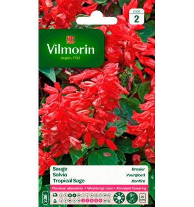 VILMORIN Salvia vuurgloed - S2