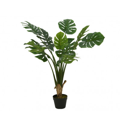 Monstera plant in pot - 60x110cm