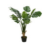 Monstera plant in pot - 60x110cm