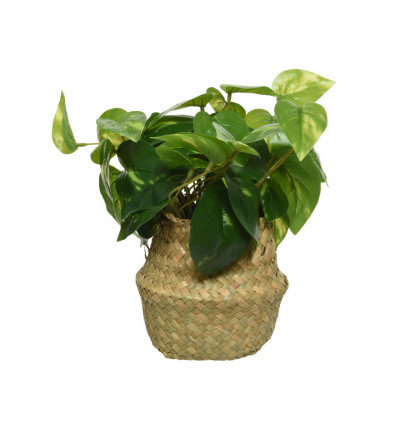 Pothos kunstplant - 38x25cm - groen rieten mandje + plant TU UC