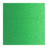 VAN GOGH Olieverf 40ml - veronese groen