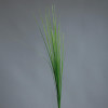 Isolepsis gras 70cm - licht groen 10069441