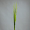 Isolepsis gras 85cm - licht groen