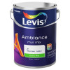 LEVIS AMBIANCE basis mur extra mat 5L - clear