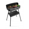 FRITEL Barbecue & tafelgrill - 50x25cm 2200W BBQ2246 (groep E)