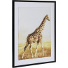 GRAFIX - Diamond painting - 30x40cm - giraf