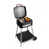 FRITEL Elektrische barbecue- tafel grill in 1 - 40x36cm 2000W BBQ3278